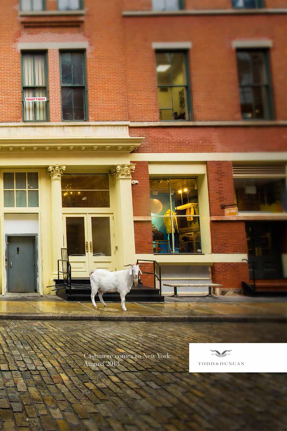 Introducing a new clothing brand opening its flagship stores in New York City.