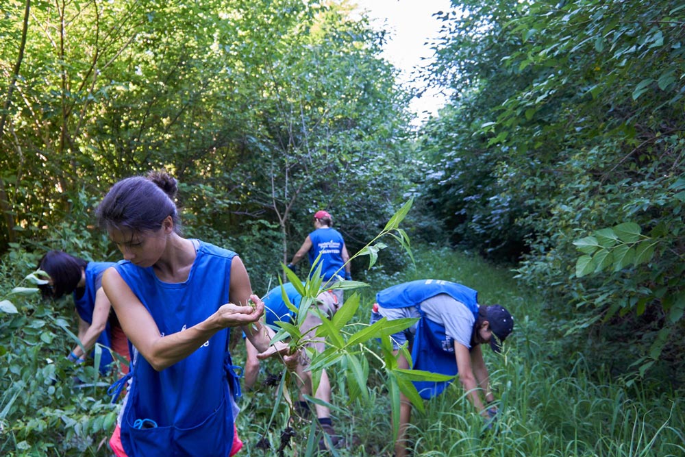 Each year SMA NYC volunteers in worthy causes in New York City. 